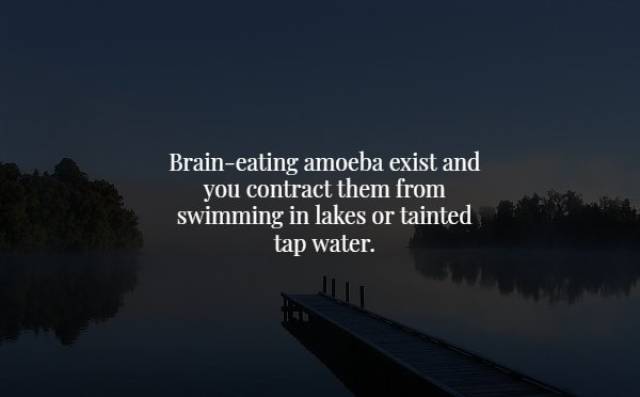 Scary Facts (18 pics)