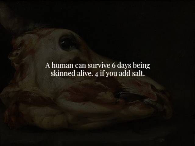 Scary Facts (18 pics)