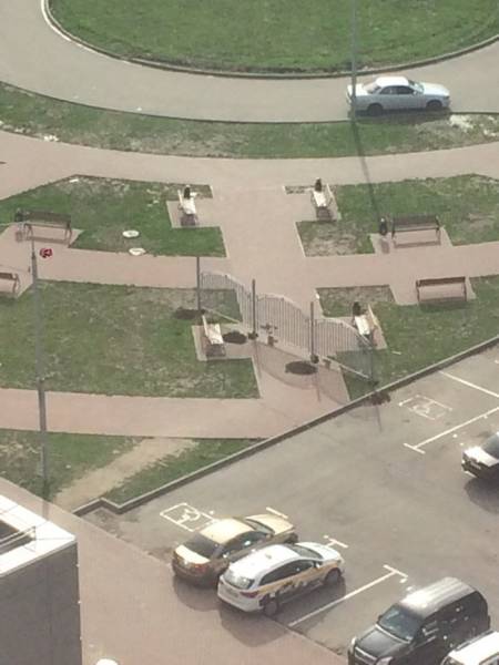 Totally Nailed It (62 pics)