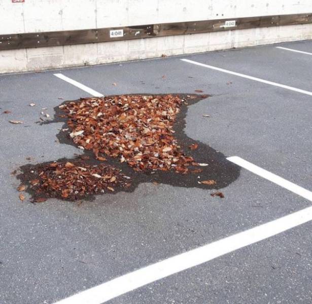 Totally Nailed It (62 pics)