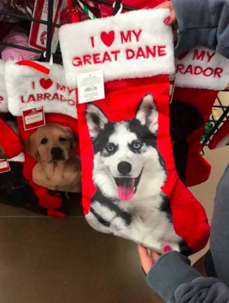 Totally Nailed It (62 pics)