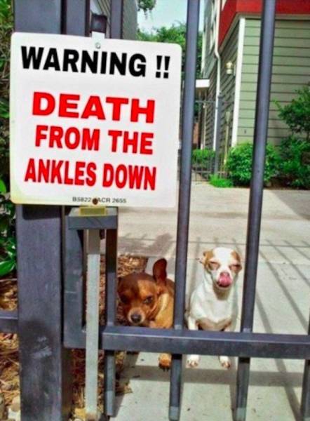 Totally Nailed It (62 pics)