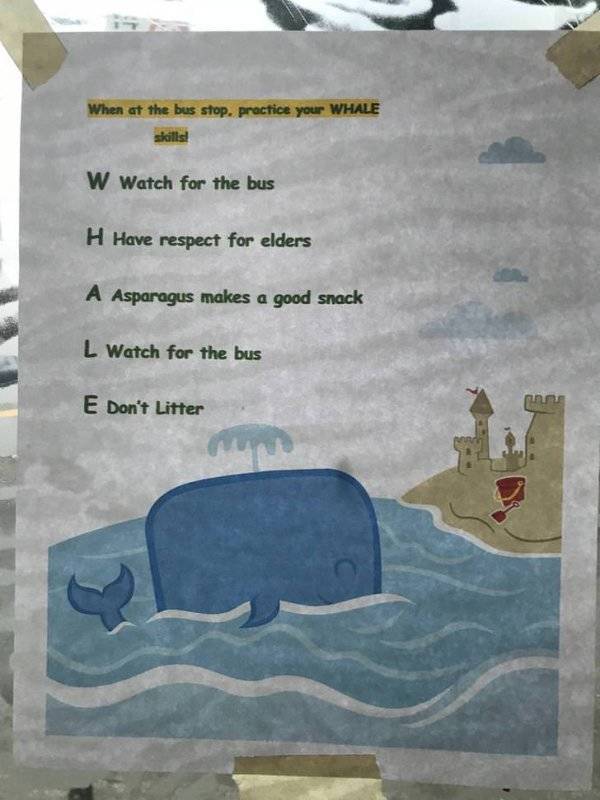 Totally Nailed It (62 pics)