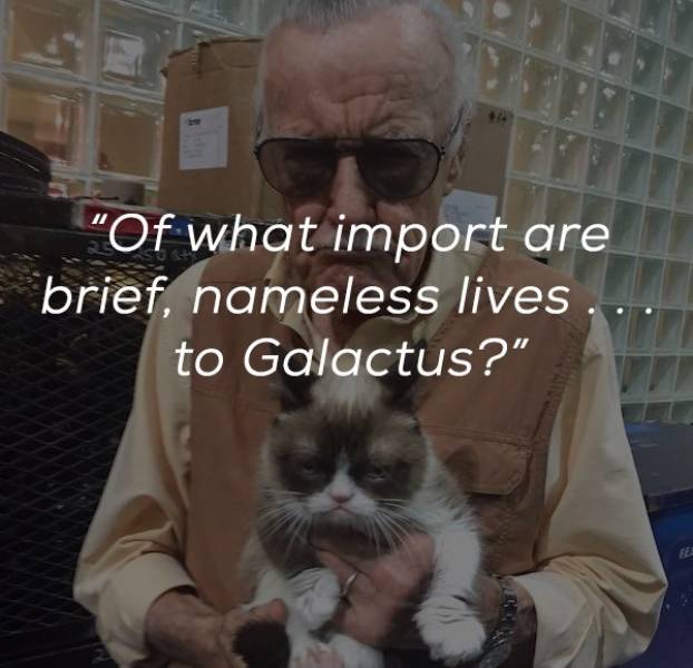 Smart Words Of Stan Lee (22 pics)