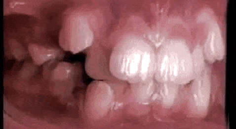 GIFs Showing How Everything Actually Works (18 gifs)