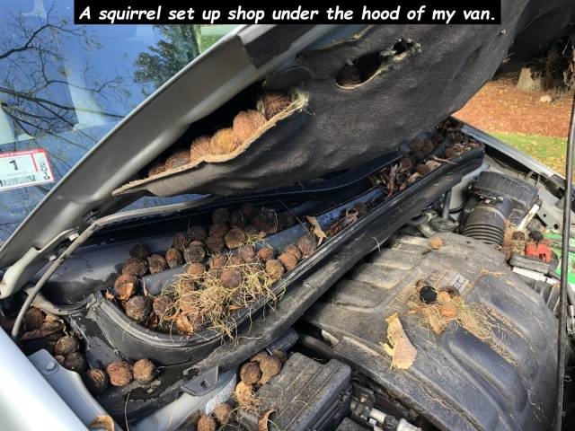 Sh*t Happens (45 pics)