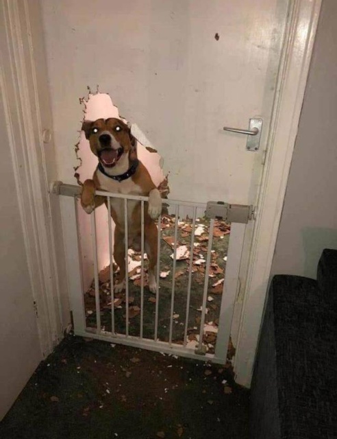 Sh*t Happens (45 pics)