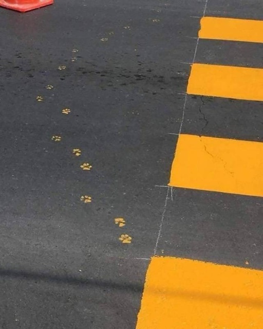 Sh*t Happens (45 pics)