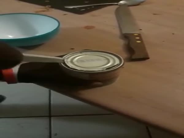 South Africa In A Nutshell