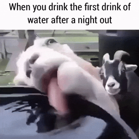 Drunk People Doing Stupid Things (43 pics)