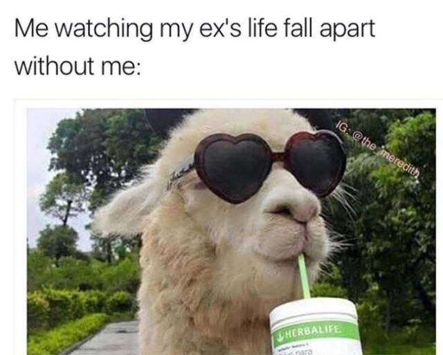 Memes About Ex (34 pics)