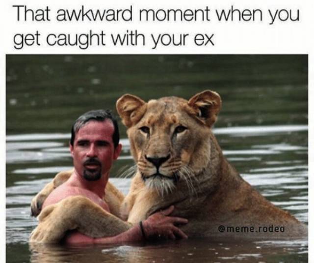 Memes About Ex (34 pics)