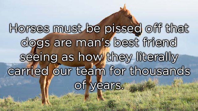 Shower Thoughts (20 pics)