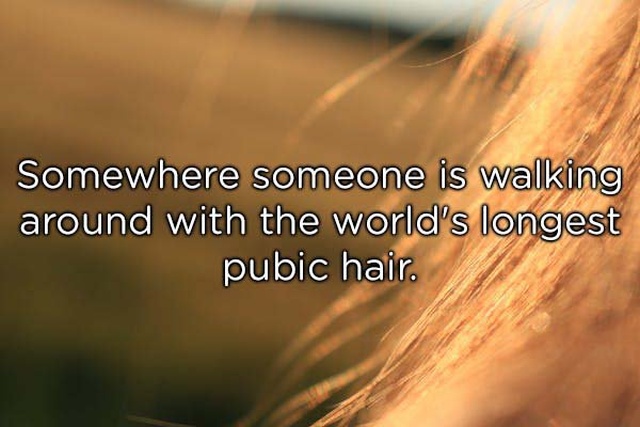 Shower Thoughts (20 pics)