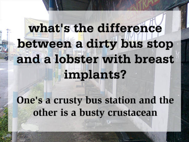 Stupid Jokes (25 pics)