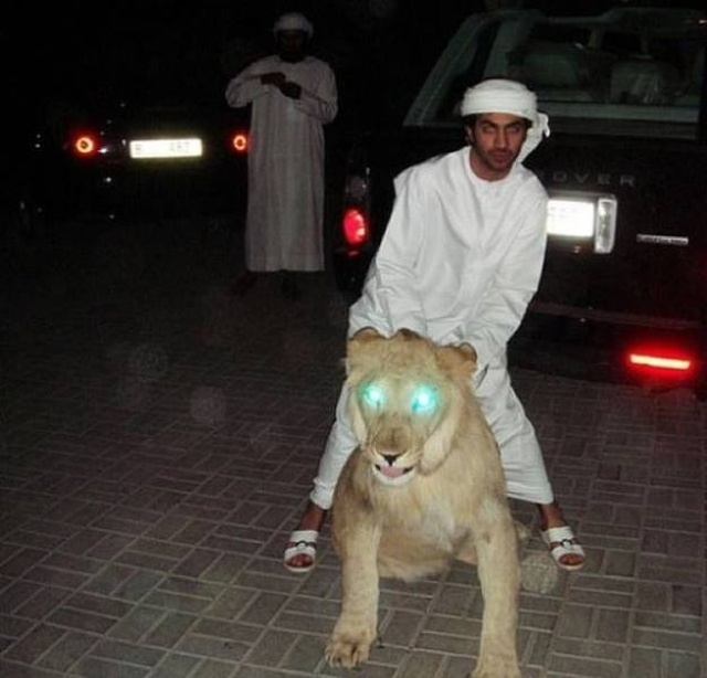 Acid Picdump (117 pics)