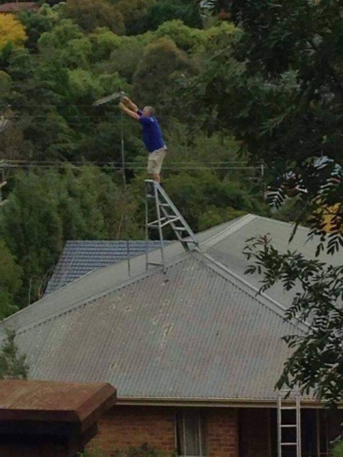 Acid Picdump (117 pics)
