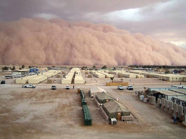 Acid Picdump (117 pics)