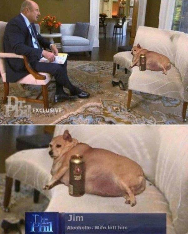 Funny Animals (47 pics)