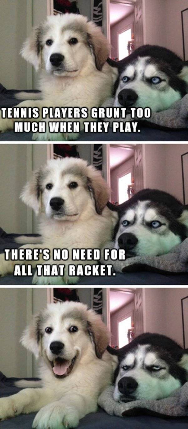Funny Animals (47 pics)