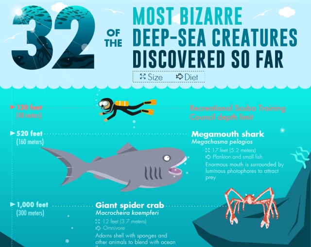 Bizarre Deep-Sea Creatures (infographic)