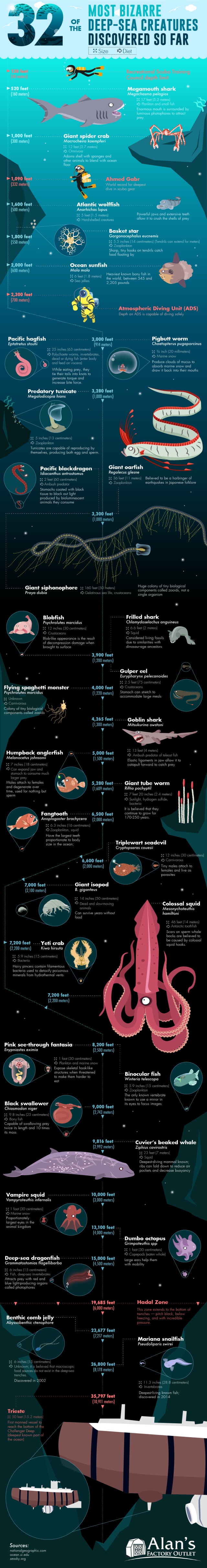 Bizarre Deep-Sea Creatures (infographic)
