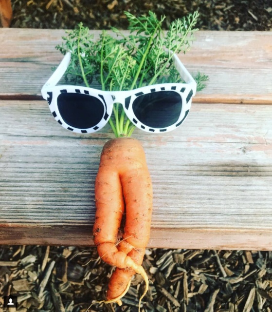 Seductive Carrots (20 pics)