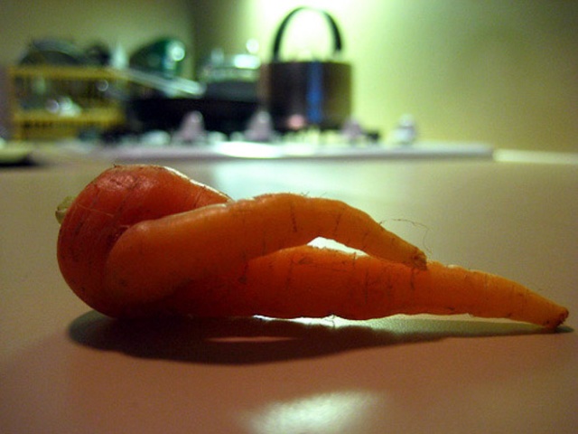 Seductive Carrots (20 pics)