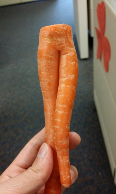 Seductive Carrots (20 pics)