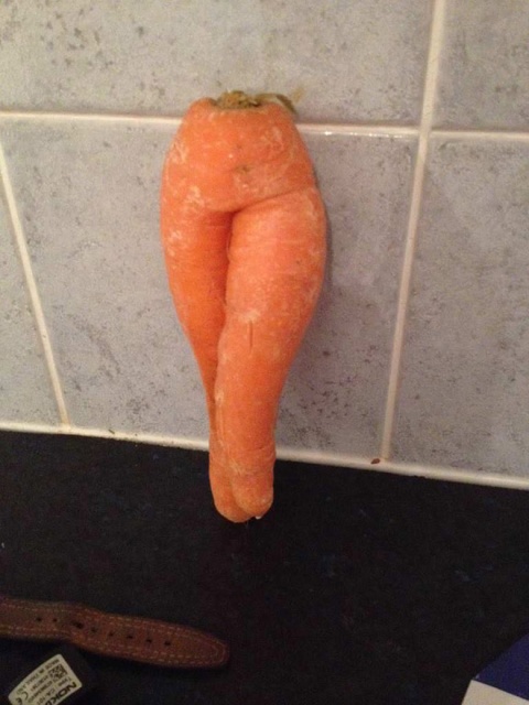 Seductive Carrots (20 pics)