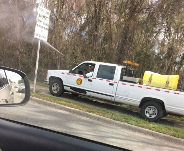 True Definition Of Laziness (36 pics)