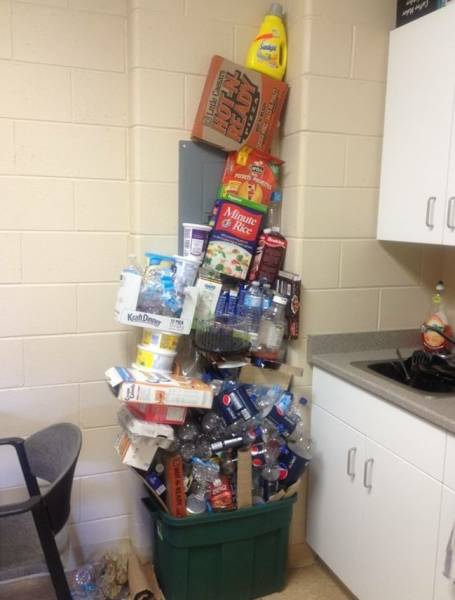True Definition Of Laziness (36 pics)