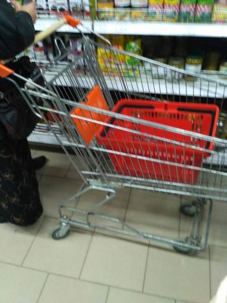 True Definition Of Laziness (36 pics)