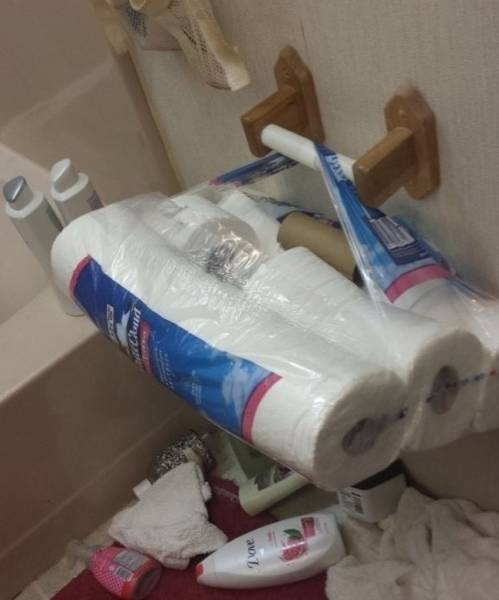 True Definition Of Laziness (36 pics)