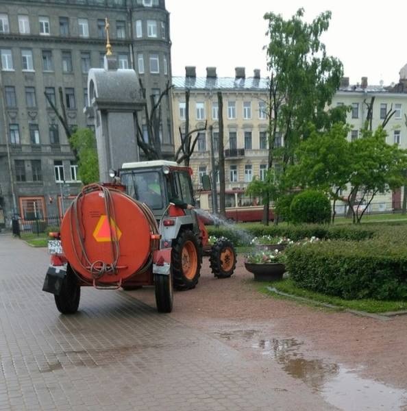 True Definition Of Laziness (36 pics)