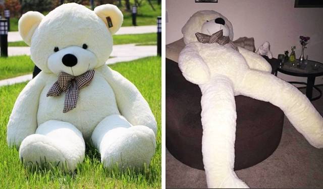 Lies Everywhere (32 pics)
