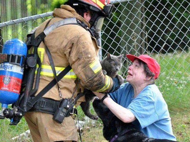 When A Picture Says More Than Just A Thousand Words (42 pics)
