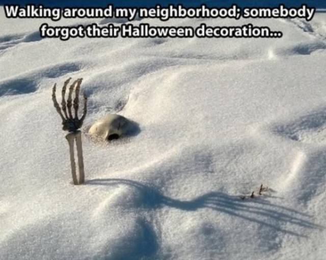 Winter Is Coming (51 pics)