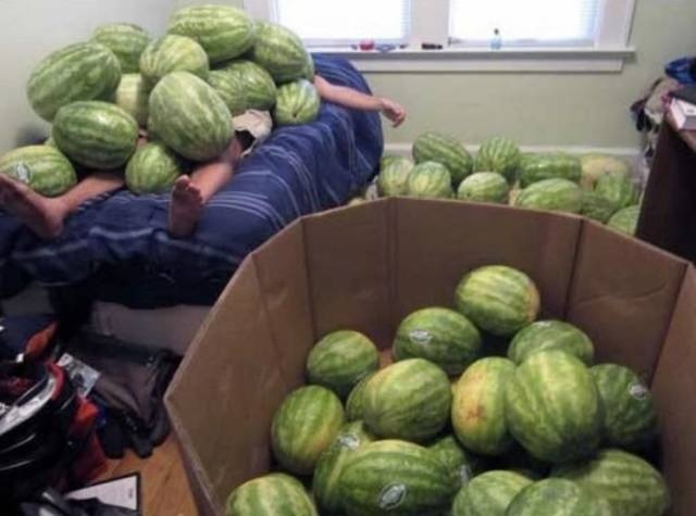 WTF Photos (35 pics)
