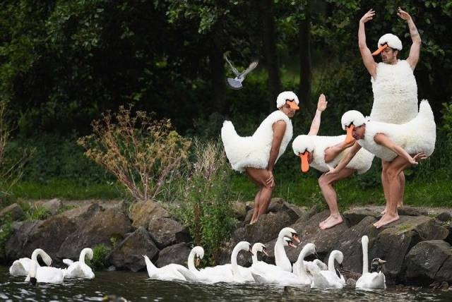 WTF Photos (35 pics)