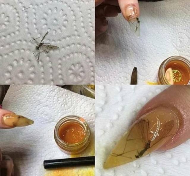 WTF Photos (35 pics)