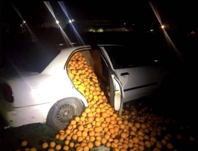 WTF Photos (35 pics)