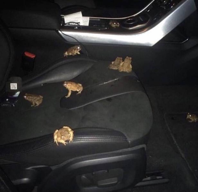 WTF Photos (35 pics)