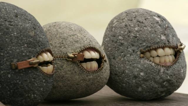 WTF Photos (35 pics)