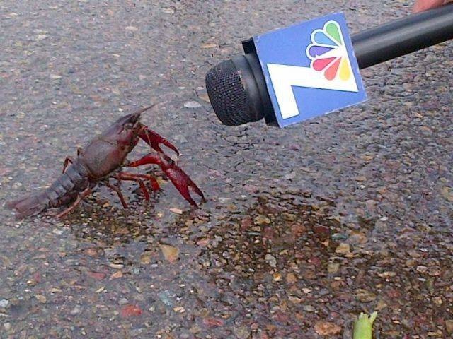 WTF Photos (35 pics)
