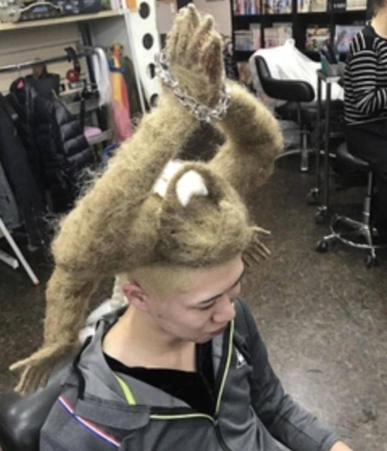 WTF Photos (35 pics)