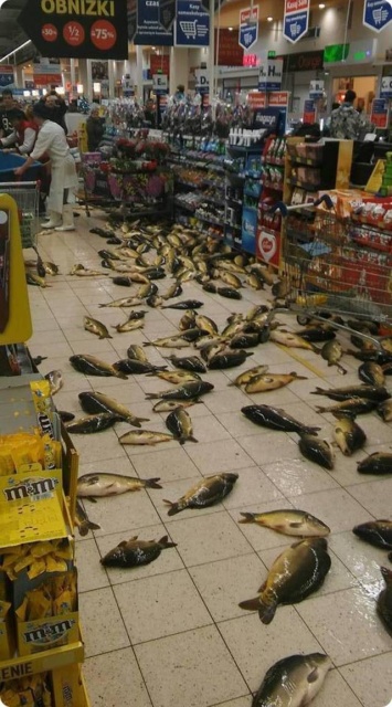 WTF Photos (35 pics)