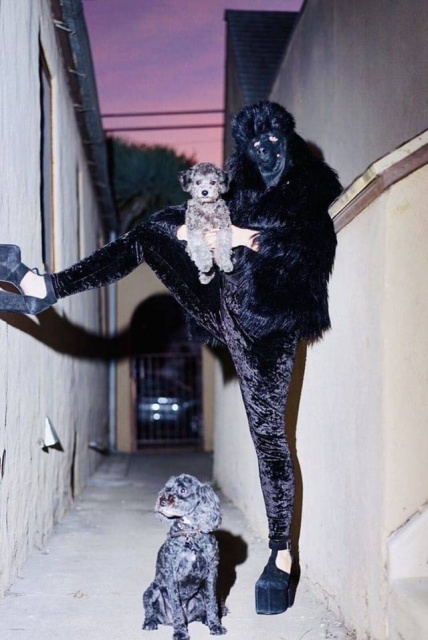 WTF Photos (35 pics)