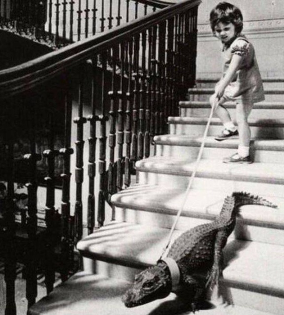 WTF Photos (35 pics)