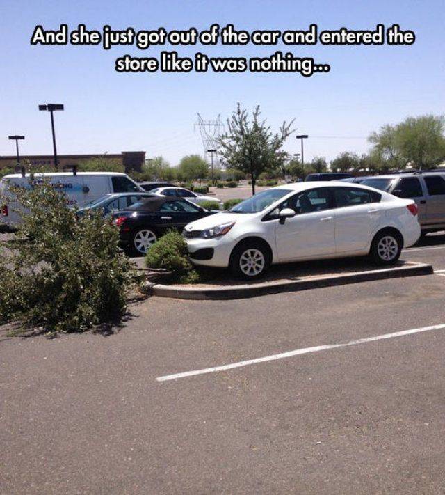 Acid Picdump (92 pics)